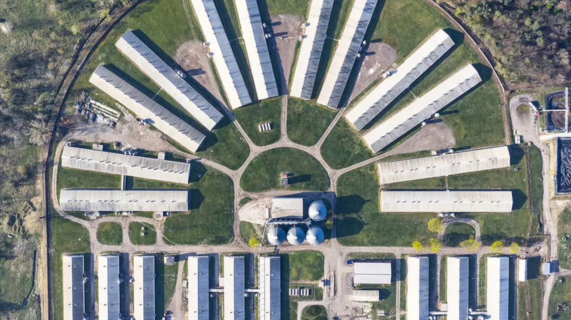 Ferma trzody chlewnej na Śląsku, 2019 r. / ROBERT NEUMANN / FORUM