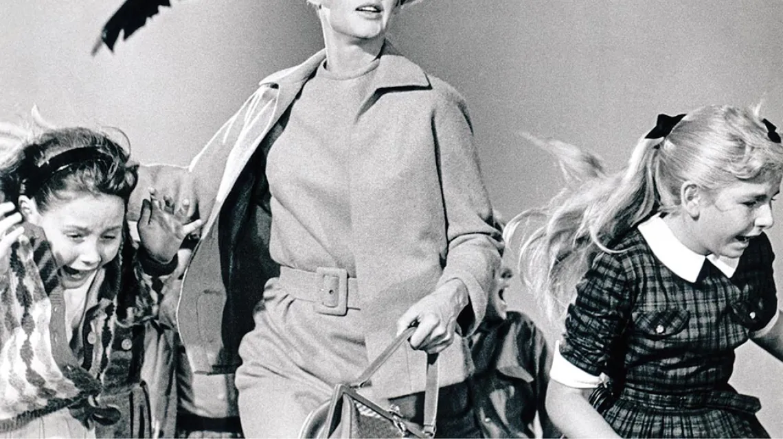 Tippi Hedren, główna aktorka i ofiara przemocy ze strony Alfreda Hitchcocka, w filmie „Ptaki”, 1963 r. / MATERIAŁY PRASOWE