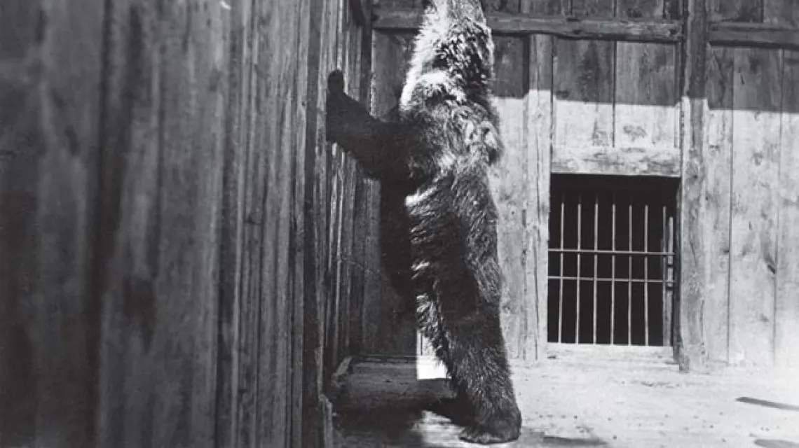 Zamość, ogród zoologiczny, lata 20. ubiegłego wieku. Zdjęcie z kolekcji Wojciecha Nowickiego / 