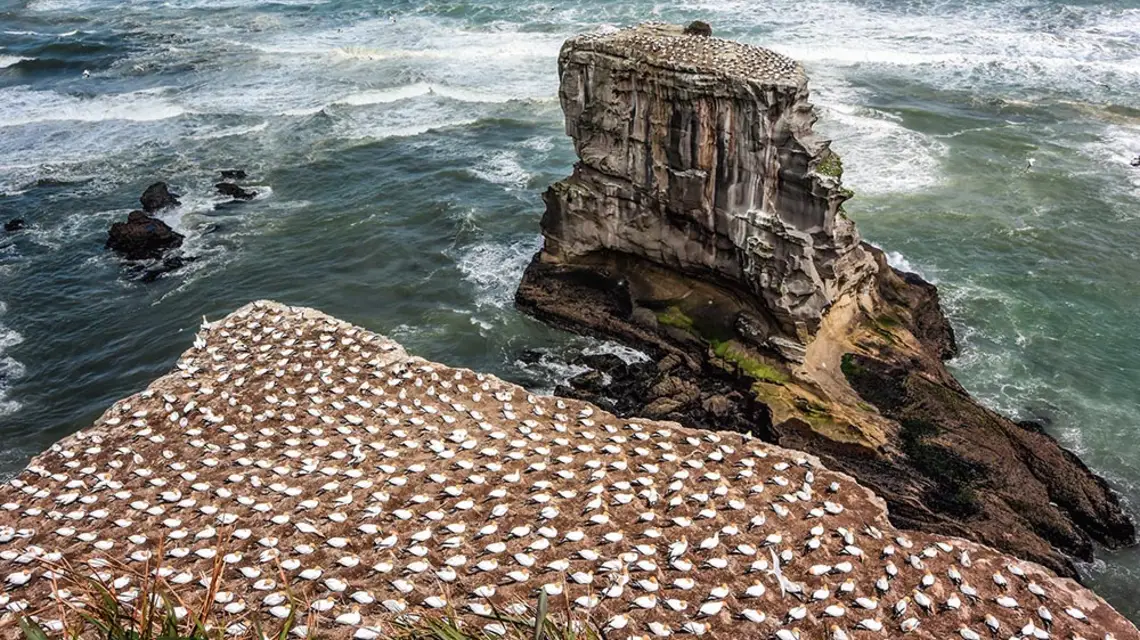  / STEPHANE CHARMOILLAUX / SOLENT NEWS / EAST NEWS