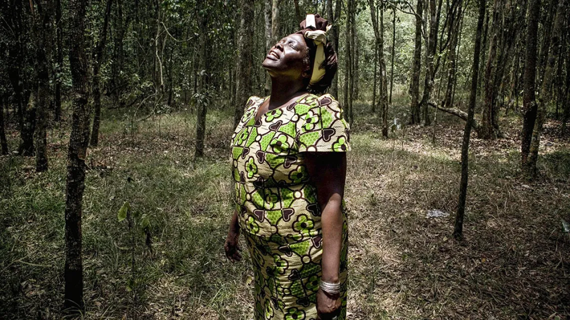 Wangari Maathai w lesie, który istnieje do dziś tylko dzięki jej uporowi. Karura, Nairobi, 2008 r. / EVELYN HOCKSTEIN / POLARIS / EAST NEWS