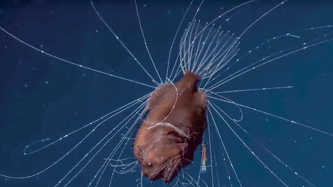  / REBIKOFF-NIGGELER FOUNDATION