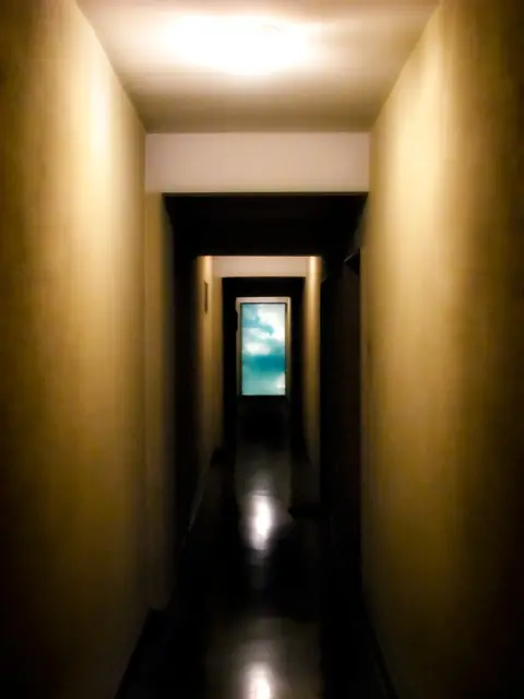 / fot. BarbaraDin / stock.xchng / 