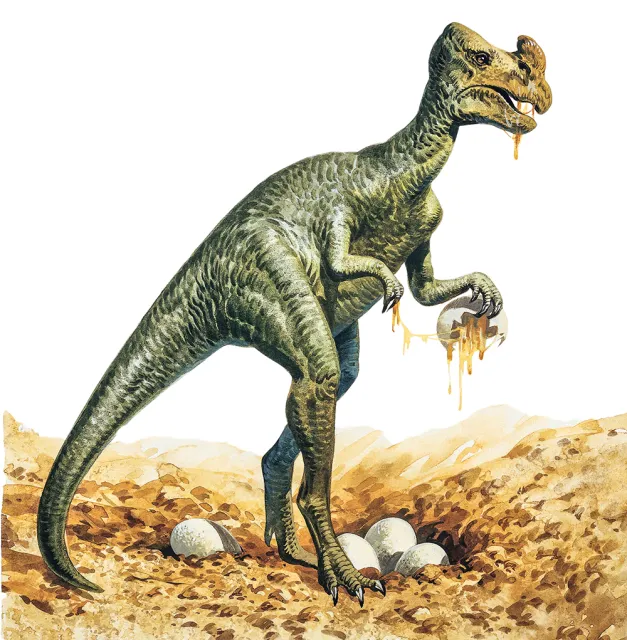 Reputacja złodzieja jaj ciągnęła się za owiraptorem przez większość XX w. Dzisiaj wiemy, że ten dinozaur dbał o własne potomstwo, a jego górne kończyny porastały pióra. / / DEAGOSTINI / UIG / EAST NEWS