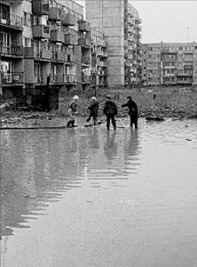 fot. G. Kozakiewicz / 