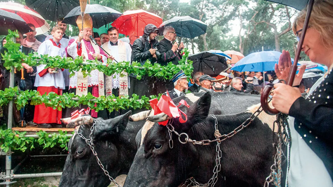 Święcenie zwierząt w dniu św. Rocha, Mikstat, Wielkopolska,  2014 r. / MAREK LAPIS / FORUM