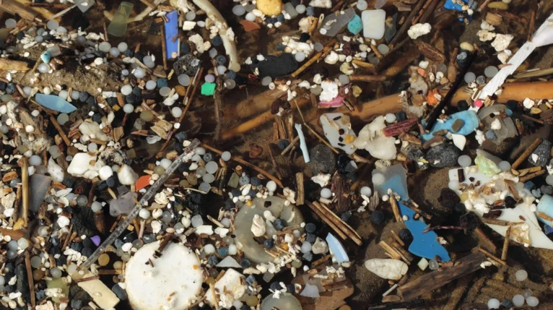 Plastikowe śmieci na wybrzeżu w Walii, marzec 2014 r.  / East News