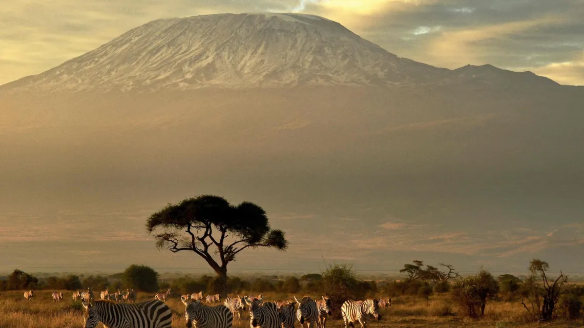 Widok na Kilimandżaro z Parku Narodowego Amboseli, listopad 2016 r. /  / FOT. CARL DE SOUZA  / AFP/EAST NEWS