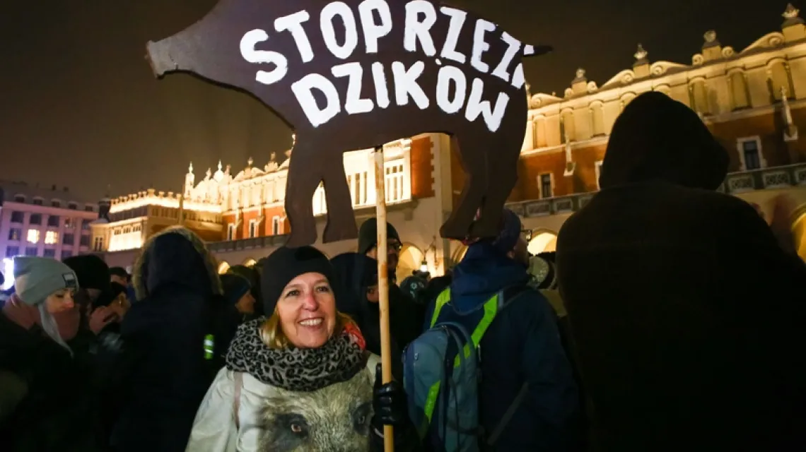 Demonstracja w obronie dzików, Kraków, 11 stycznia 2019 r. / Fot. Beata Zawrzel / Reporter / East News / 