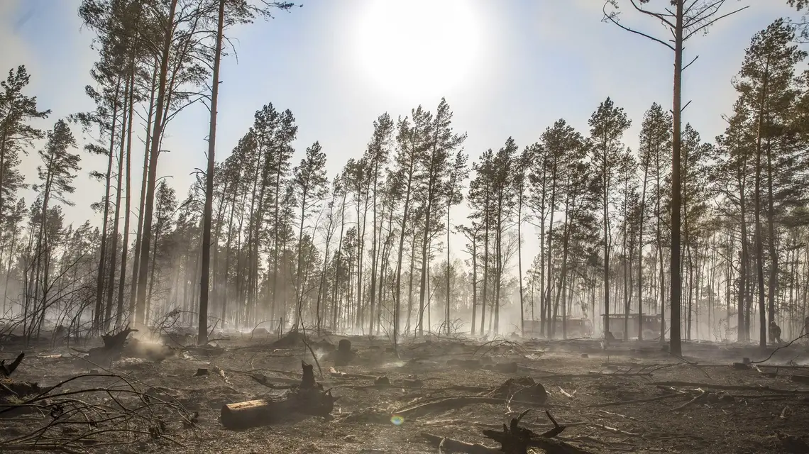 Pożar lasu na granicy powiatów łomżyńskiego i kolneńskiego, kwiecień 2019 r. / Fot. Marek Maliszewski / Reporter / East News / 