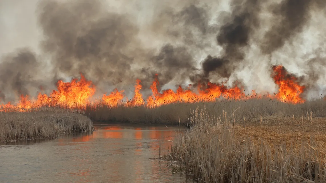 Pożar w Biebrzańskim Parku Narodowym, Goniądza, 22 kwietnia 2020 r. / FOT. TOMASZ RADZIK/AGENCJA SE/East News / 