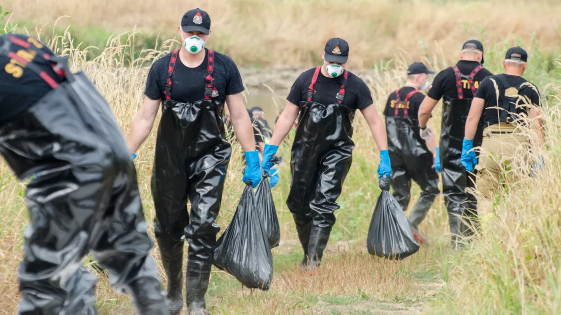 Strażacy pomagają w wyławianiu martwych ryb ze skażonej Odry. Cigacice, 13 sierpnia 2022 r. / fot. NewsLubuski/East News / 
