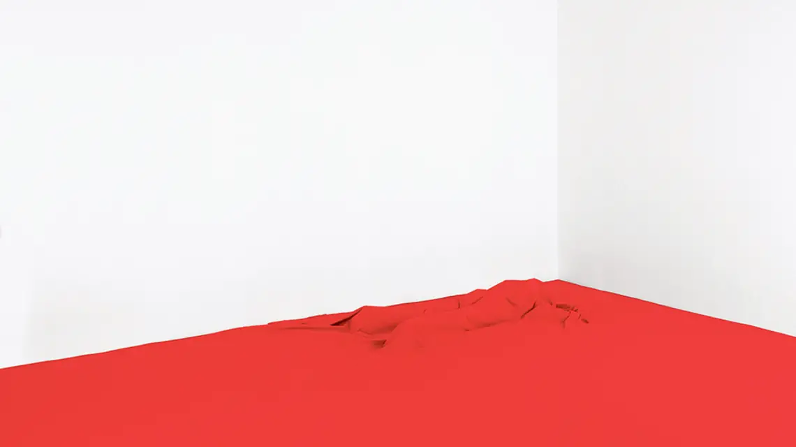Oskar Dawicki, „To nie jest flaga”, 2014 r. / Maciej Zaniewski / fotografia dzięki uprzejmości galerii Raster, Warszawa