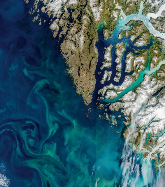 Zakwit fitoplanktonu u ­wybrzeża Grenlandii. Kwiecień 2021 r. / LWM / NASA / LANDSAT / ALAMY / BE&W