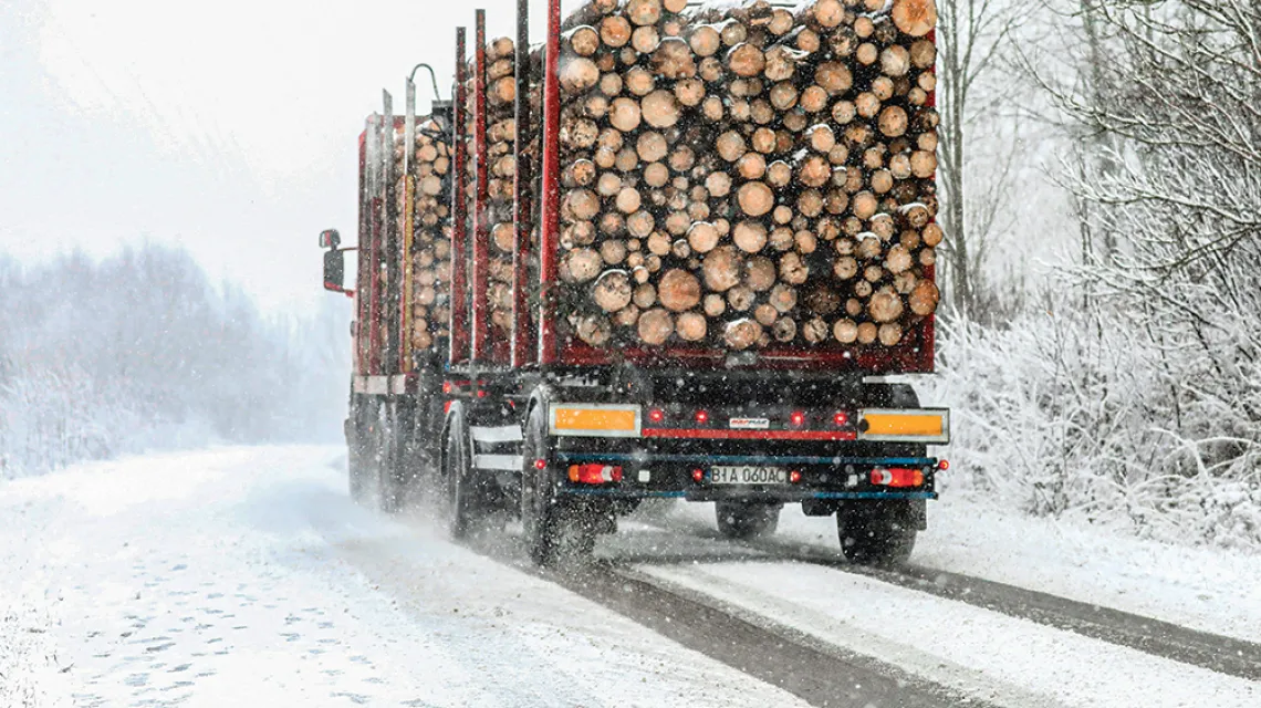 Transport drewna po wycince w lesie w województwie podlaskim. Nowa Wola, 23 listopada 2021 r. / BEATA ZAWRZEL / REPORTER