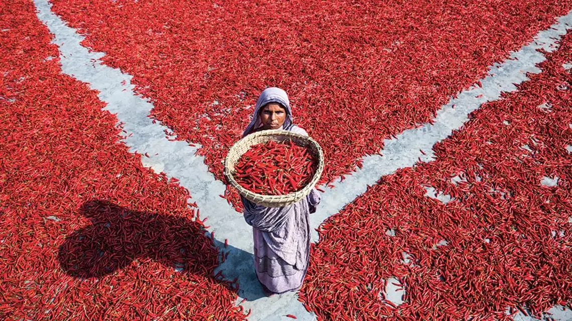 Suszenie papryki chili niedaleko rzeki Jamuna w mieście Bogra, Bangladesz, marzec 2019 r. Dzienny zarobek to ok. 1 dolara za 10 godzin pracy. / MUSHFIQUL ALAM / NURPHOTO / GETTY IMAGES