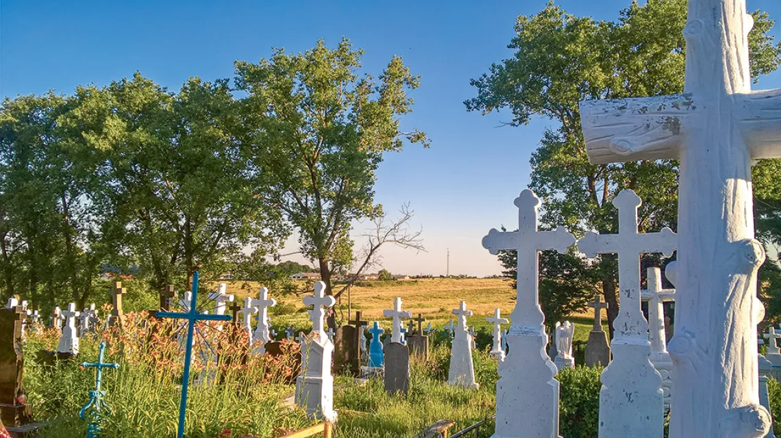 Cmentarz w Baryszu, czerwiec 2019 r. / ANNA WYLEGAŁA