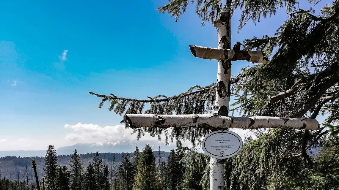 Mogiła sowieckich żołnierzy na polanie Gorc Troszacki, maj 2019 r. / Fot. Michał Okoński / 