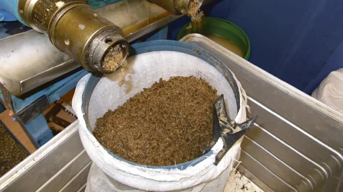 W tłoczni państwa Justów, październik 2012 r. / Fot. Maja Biernacka