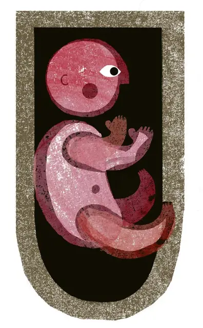  / il. Joanna Grochocka