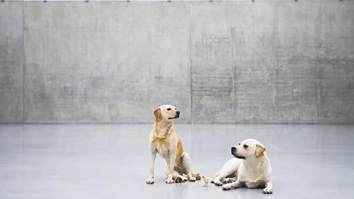 Rzeźba Maurizio Cattelana z 2007 r. / Fot. Markus Tretter / ARCHIWUM MAURIZIO CATTELANA