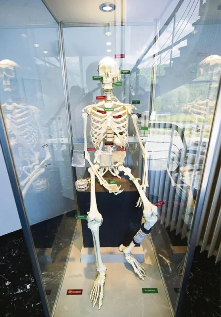 Na Wydziale Anatomii Klinicznej na Uniwersytecie Eberharda Karola w Tybindze, który zajmuje się m.in. minimalnie inwazyjnymi technikami chirurgii. / Fot. Volker Lannert / DAAD