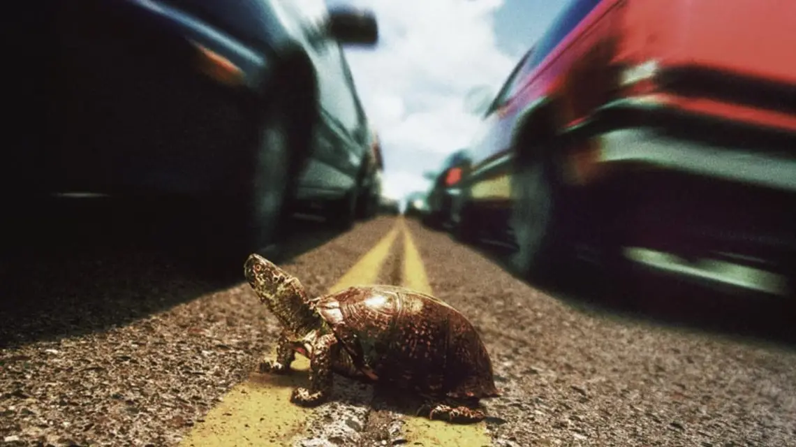  / Fot. Phil Banko / CORBIS