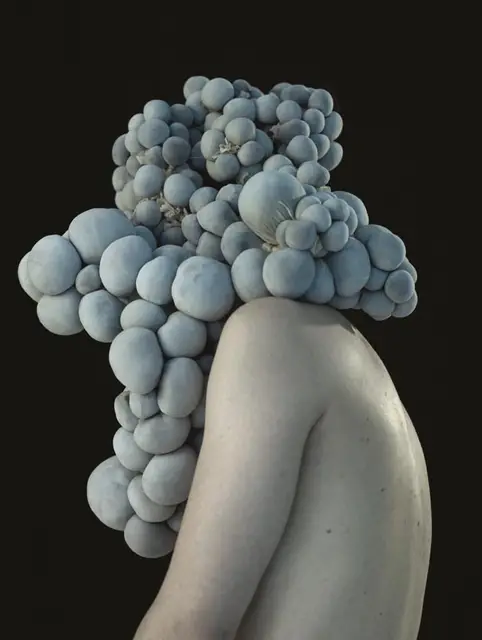 Hybrid Figures; ed.5; 2010 r. / Fot. Przemysław Dzienis (we współpracy z Dorotą Buczkowską)