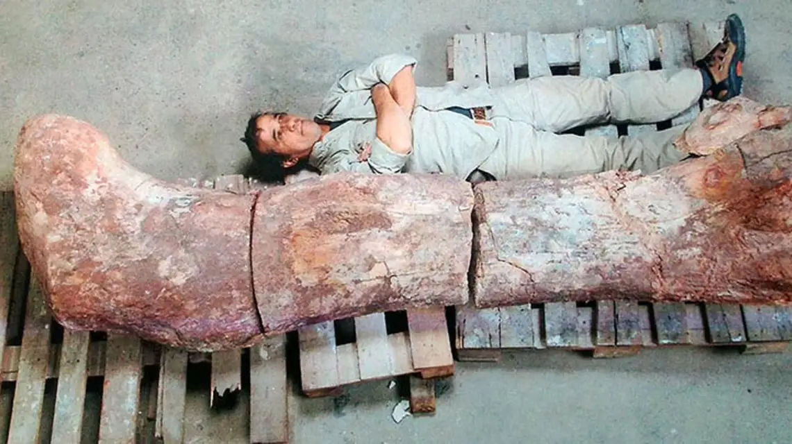  / Fot. Museo Egidio Feruglio / AFP / EAST NEWS