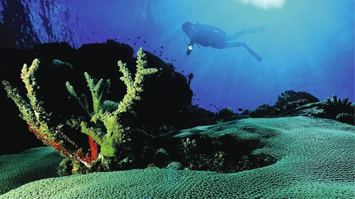 Kadr z filmu „Deep Love”, reż. Jan P. Matuszyński / Fot. MATERIAŁY PRASOWE