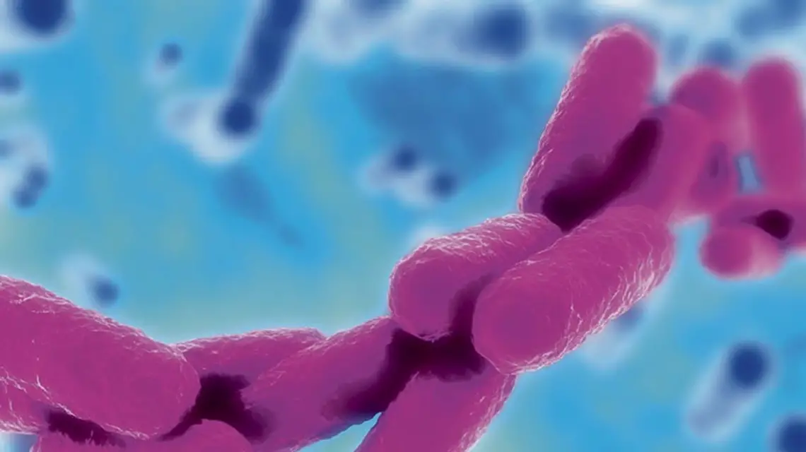 Bakteria Klebsiella pneumoniae odpowiedzialna za zakażenia szpitalne. / Fot. atcc.org