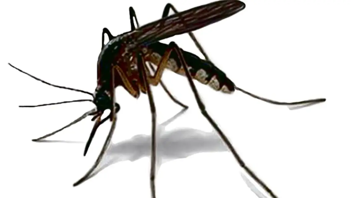  / Fot. Domena publiczna