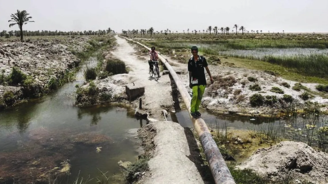 Ropociąg przecinający bagna i uroczyska koło West Qurna pod Basrą – tutaj, w historycznej Mezopotamii, badacze umiejscawiają biblijny Eden. / Fot. Atef Hassan / REUTERS / FORUM