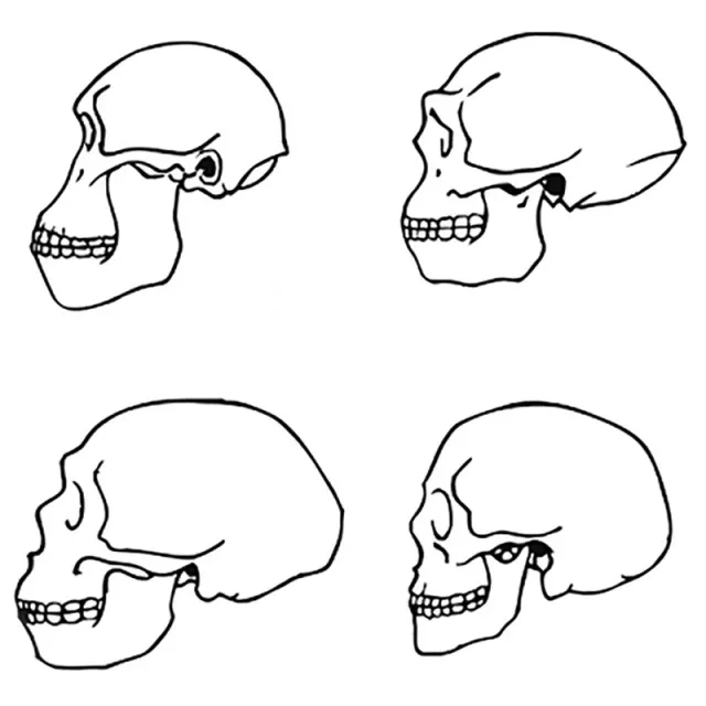 Neandertalczyk i człowiek współczesny / Fot. Wikipedia