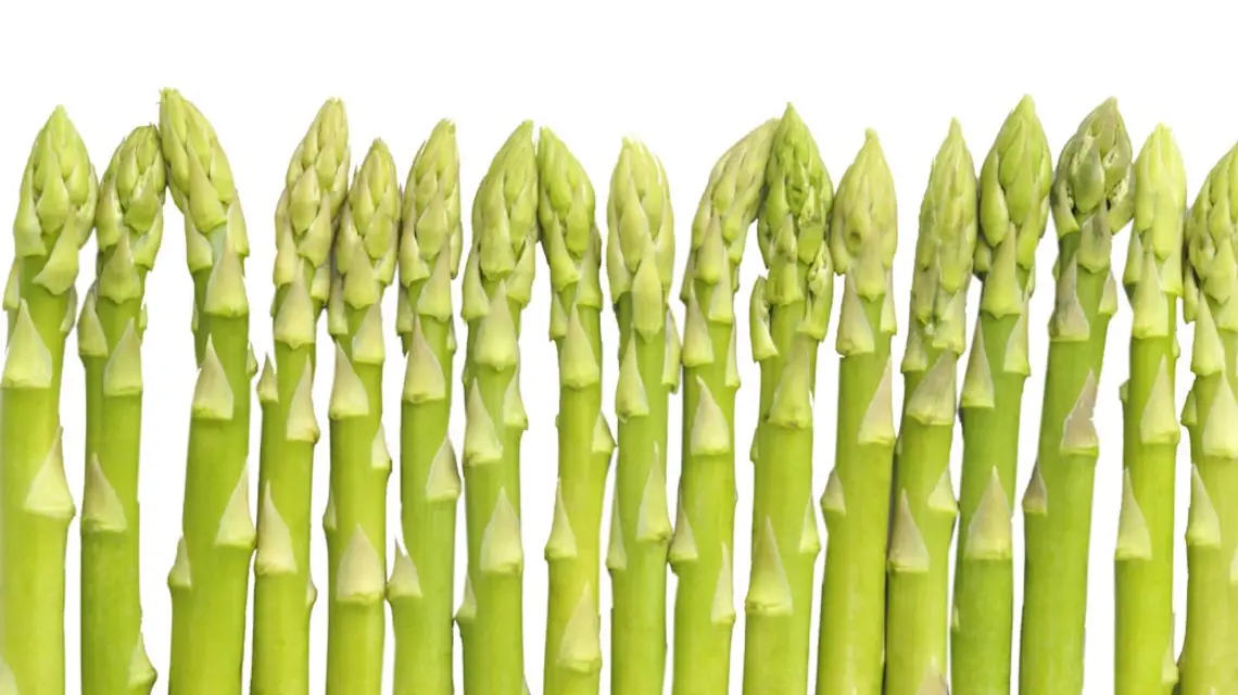  / Fot. Alasdair Thomson / GETTY IMAGES