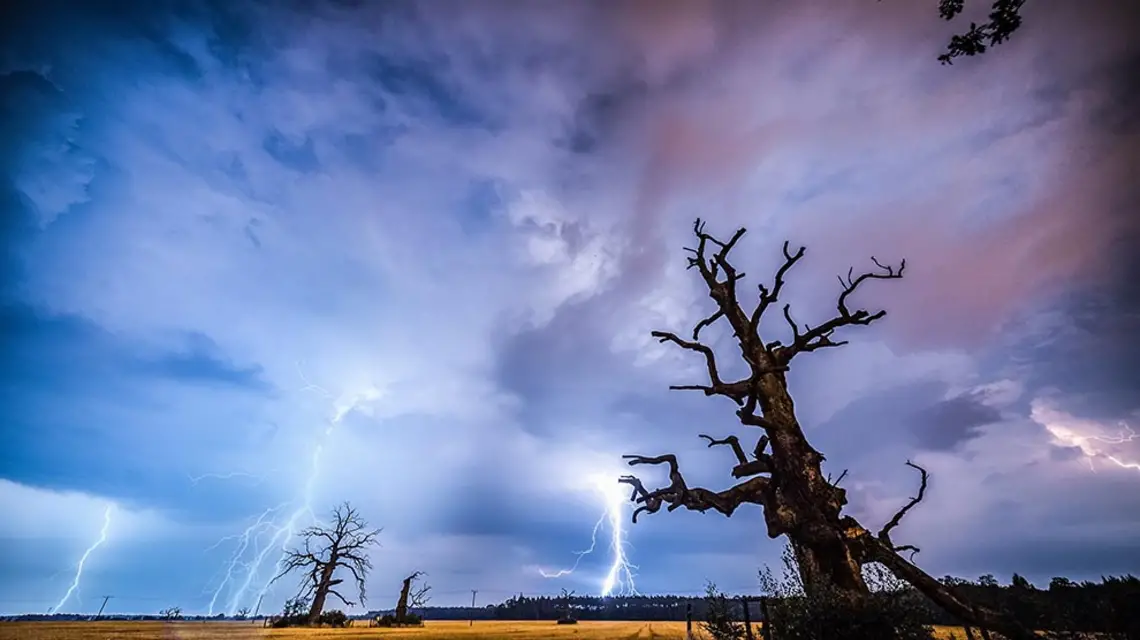 Rogalin k. Poznania, noc z 12 na 13 sierpnia 2015 r. / Fot. Łukasz Ogrodowczyk / PAP