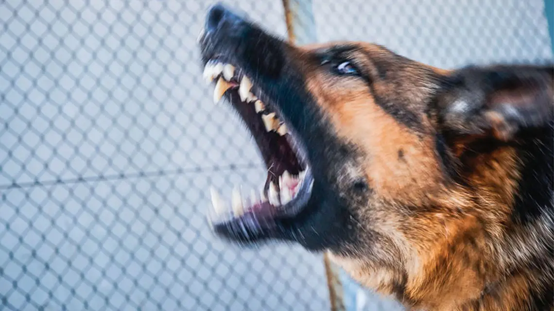  / Fot. Wojciech Pacewicz / PAP