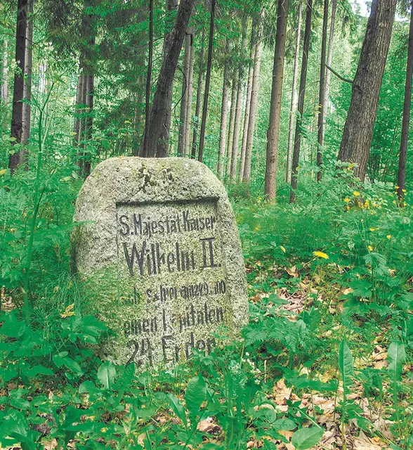Głaz Wilhelma w Puszczy Rominckiej / Fot. Anna Naruszewicz