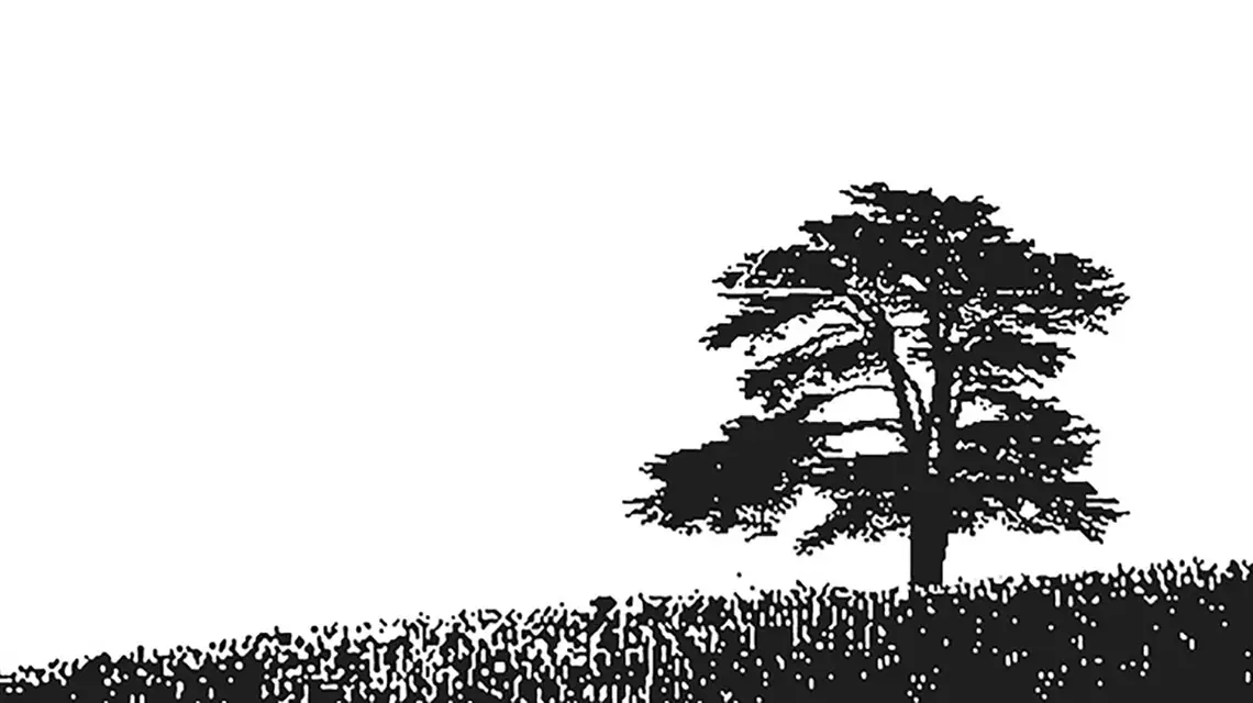  / il. Domena Publiczna