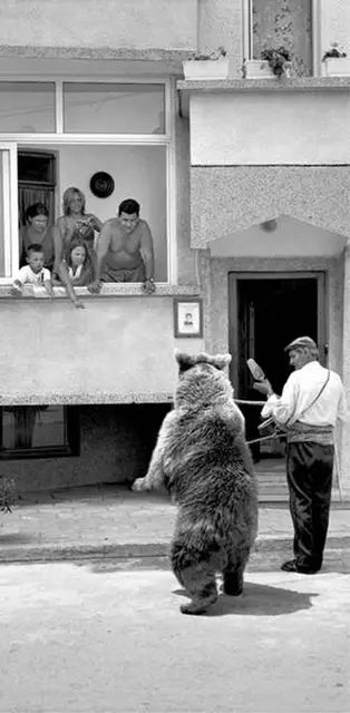  / Fot. Albin Biblom