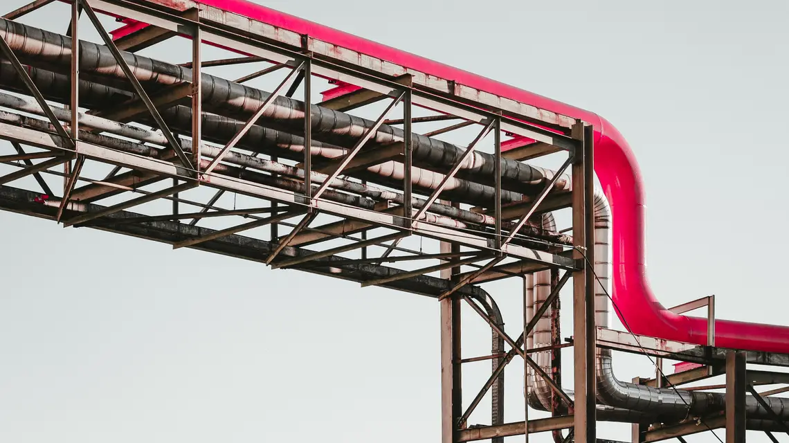 fot. Unsplash / 