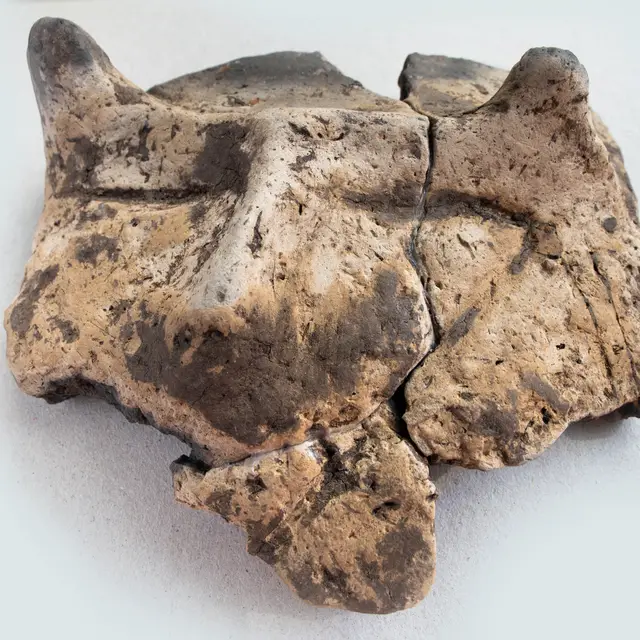 Fragment neolitycznej ceramiki z przedstawieniem twarzy znaleziony przez zespół dr Magdaleny Moskal-del Hoyo w Biskupicach koło Wieliczki / fot. Adam Walanus dla TP