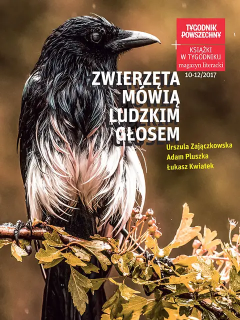  / ZYGMUNT JANUSZEWSKI