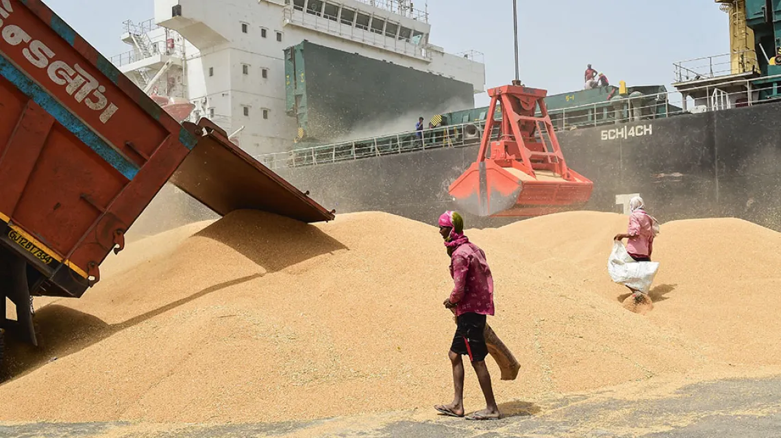 Ta pszenica, zgromadzona w indyjskim porcie, już nigdzie nie popłynie: w połowie maja Indie wprowadziły zakaz jej eksportu ze skutkiem natychmiastowym. Kandla, 18 maja 2022 r. Fot. SAM PANTHAKY / AFP / EAST NEWS / 