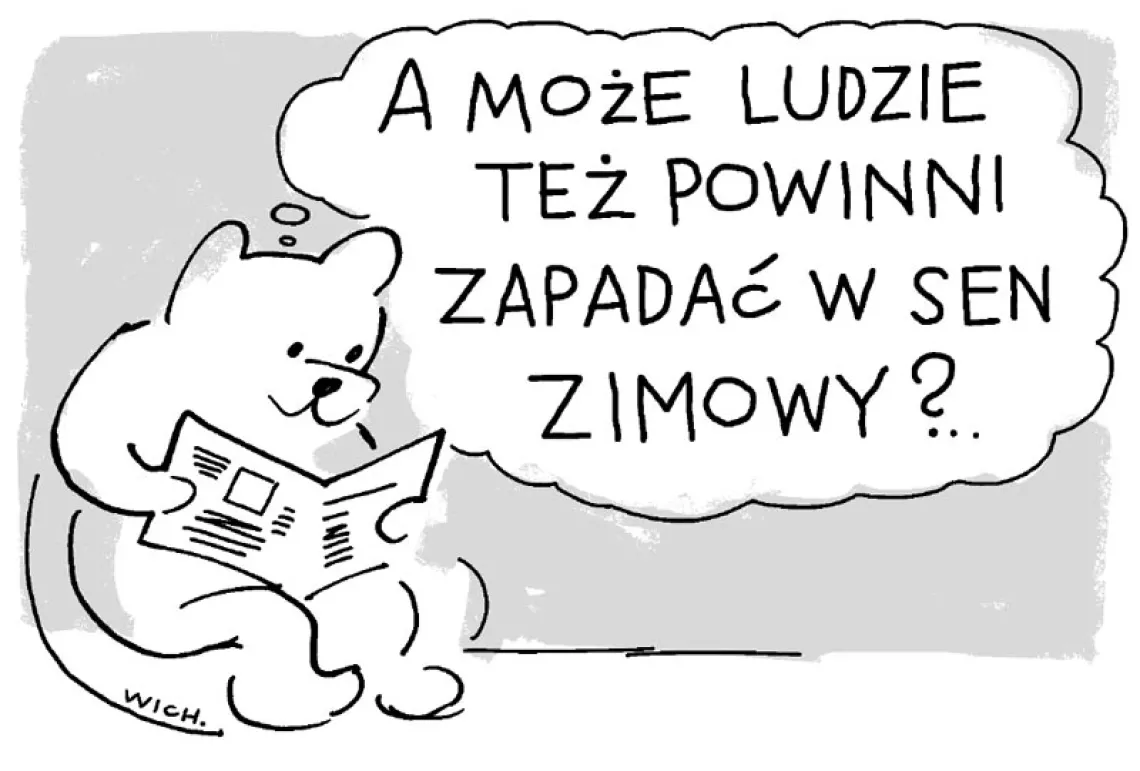 więcej: www.tygodnik.com.pl/wichajster / 