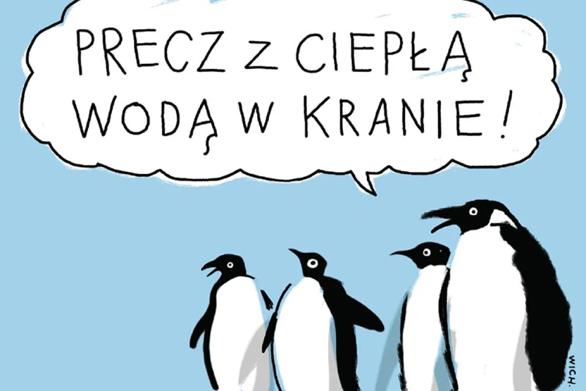 więcej: www.tygodnik.com.pl/wichajster / więcej: www.tygodnik.com.pl/wichajster /