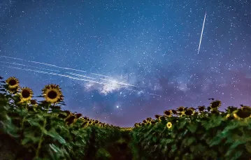 Ślady świetlne satelitów Starlink,  Brazylia, grudzień 2019 r. / EGON FILTER / NASA