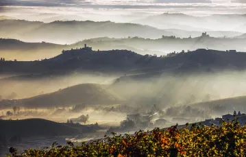 Prowincja Cuneo, na wzgórzach miasteczka Castiglione Falletto i Serralunga d’Alba. Piemont, Włochy. / Fot. CORBIS / PROFIMEDIA