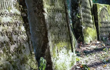 Macewy na cmentarzu żydowskim w Szczebrzeszynie / Fot. Franciszek Prusiecki / REPORTER