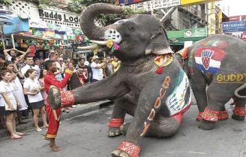 Występ z udziałem słoni podczas święta z okazji rozpoczęcia piłkarskich mistrzostw świata  w Brazylii, Bangkok, Tajlandia, czerwiec 2014 r. / Fot. AP / EAST NEWS